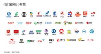 有赞服务与互联网信息服务的协同发展